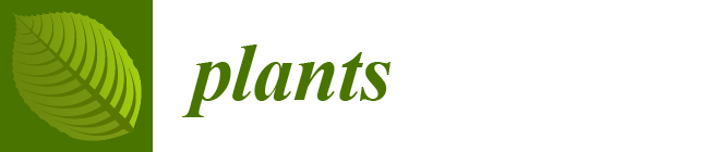 plants-logo.webp picture