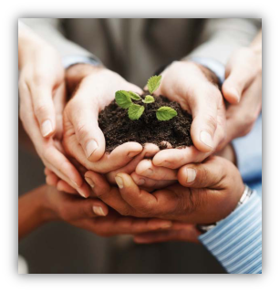 107501_est1.png picture