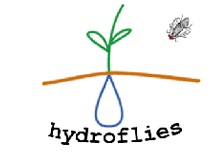 hydroflies.jpg picture