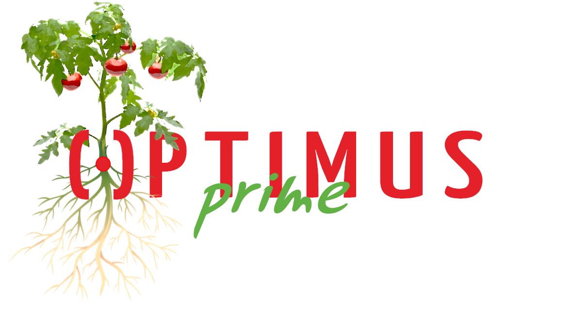 Logo_def.png picture
